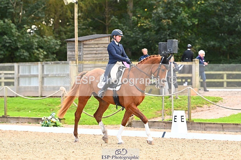 231020-145524-10032 - 311-DALOUBET.MANSOLEIN.Z-Kat.Raybould-DR