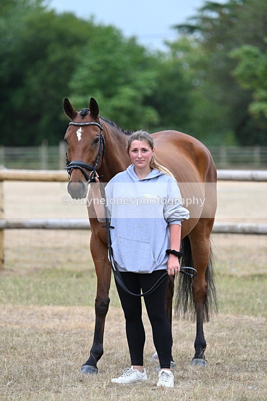 WJ7_9865 - Class 5a Most Handsome Gelding (above 14.2hh)