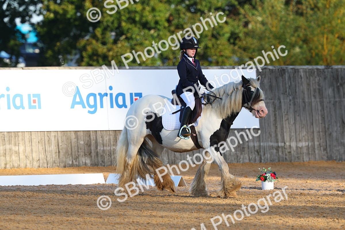 SBM_33416 - D26 - Test Starter Test 1