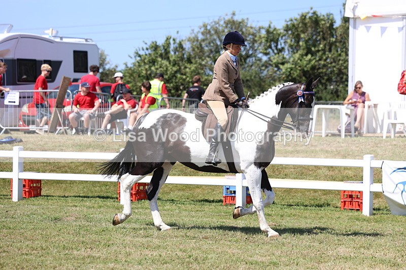 3E7A7685 - Class 7: Open Riding Horse