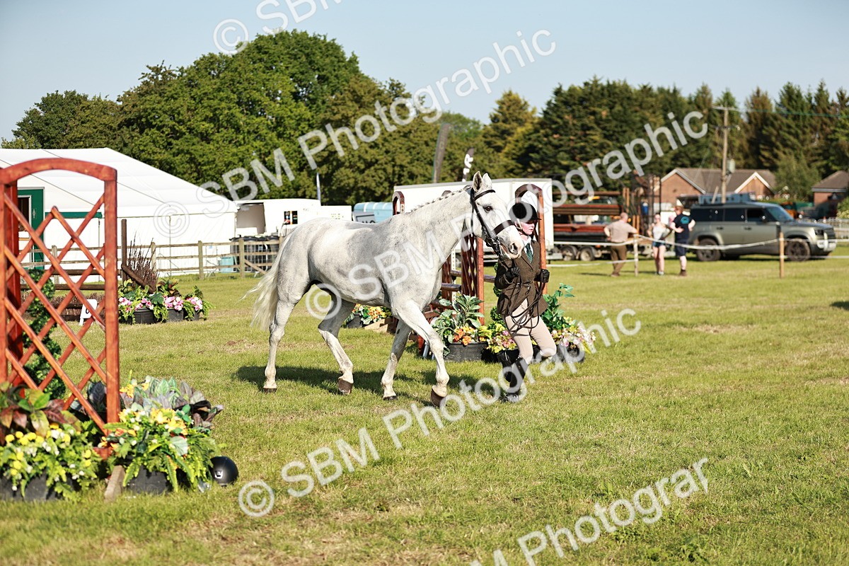 SBM_20028 - Class 115-116 - LIHS BSHA Rising Star Working Hunter & Show Horse