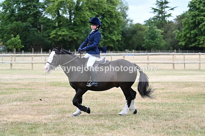 WJ7_0352 - Class 2 Best rider