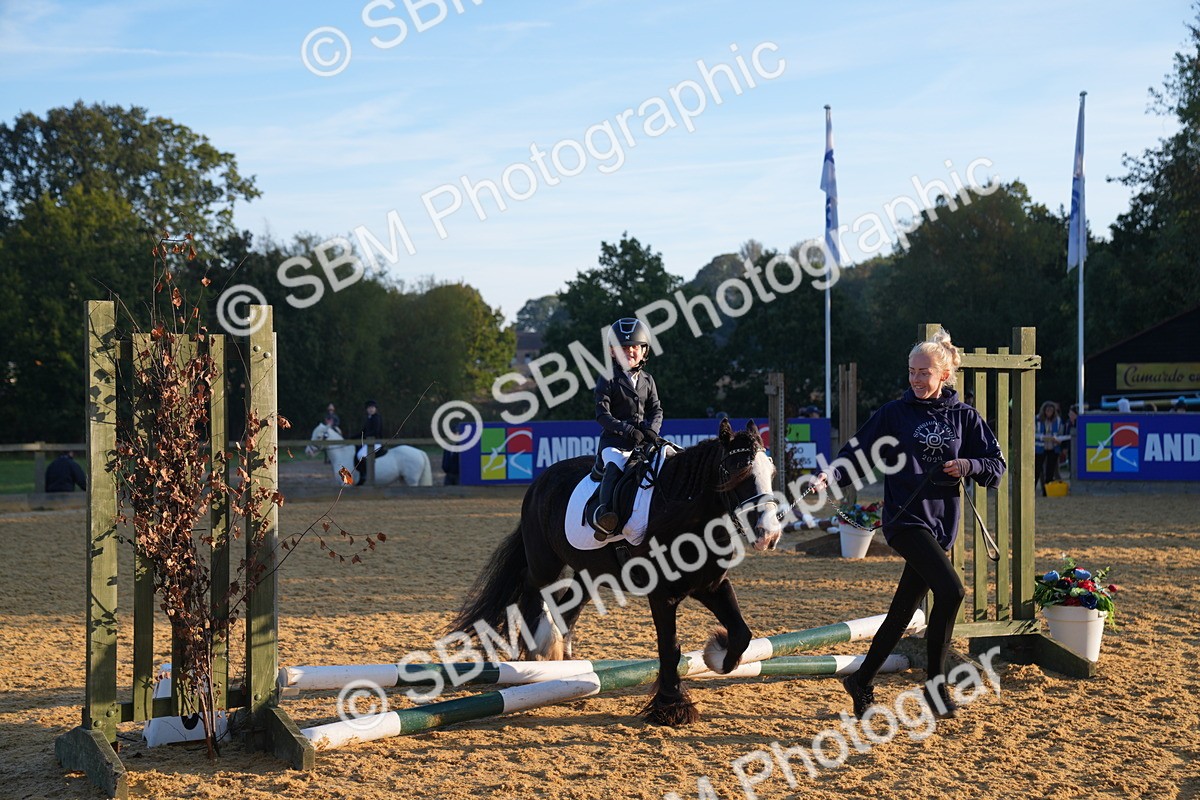 SBM_58884 - J63 - Minis Clear Round 30cm 40cm