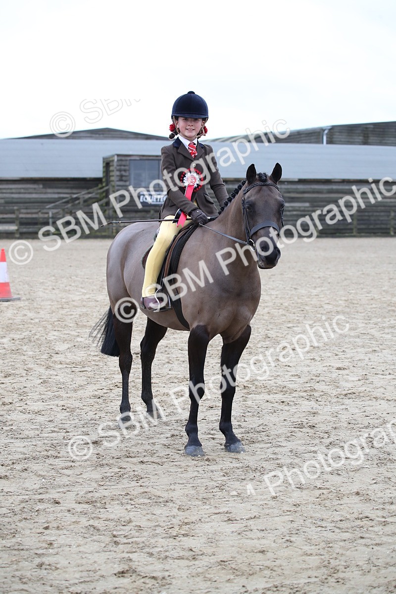 SBM_004625 - Class 5-9 - NPS In Hand-Show Hunter-Intermediate Ridden Inc Ridden Championship