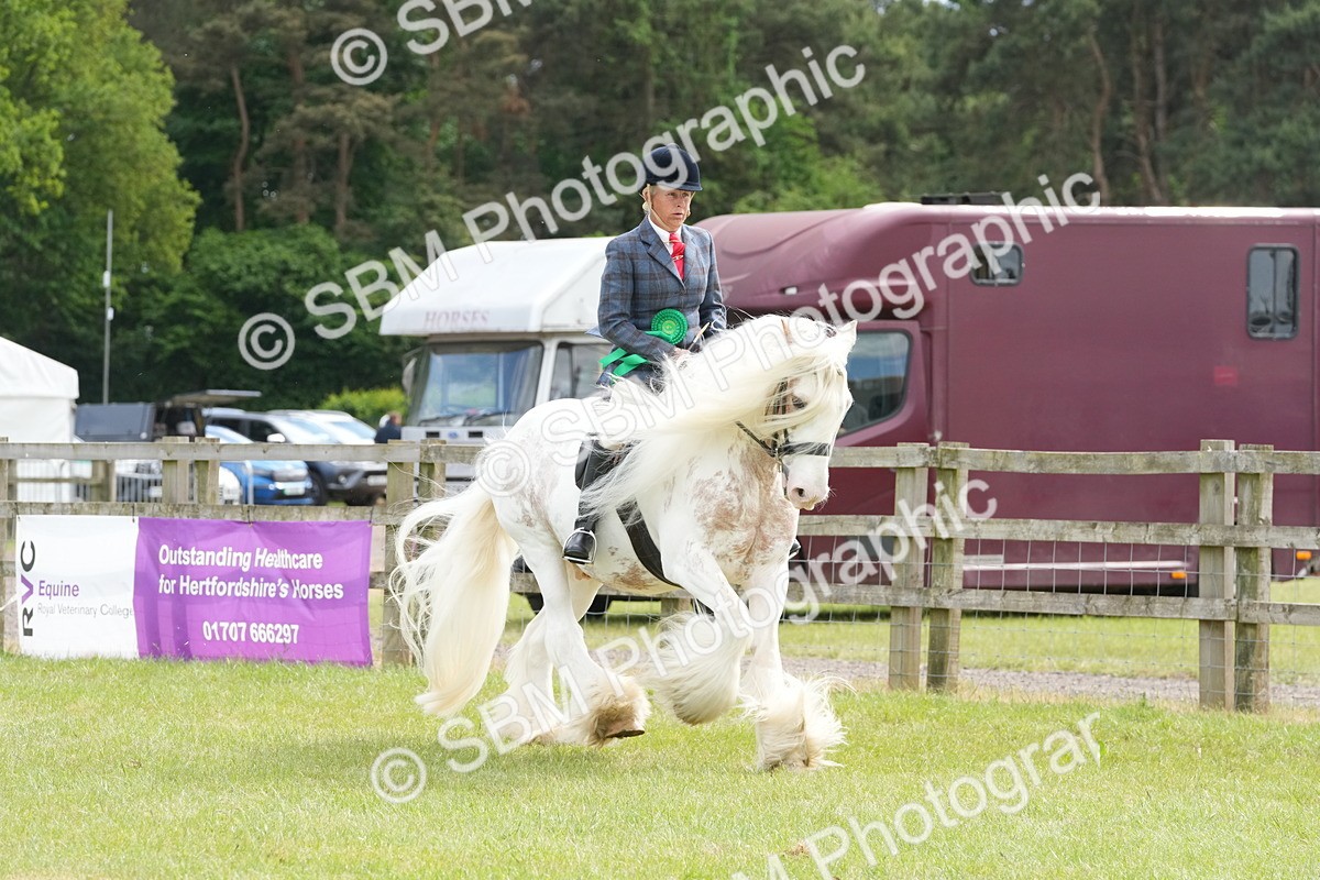 SBM_17355 - Class 107-108 - LIHS BSPS Performance Coloured Horse Pony