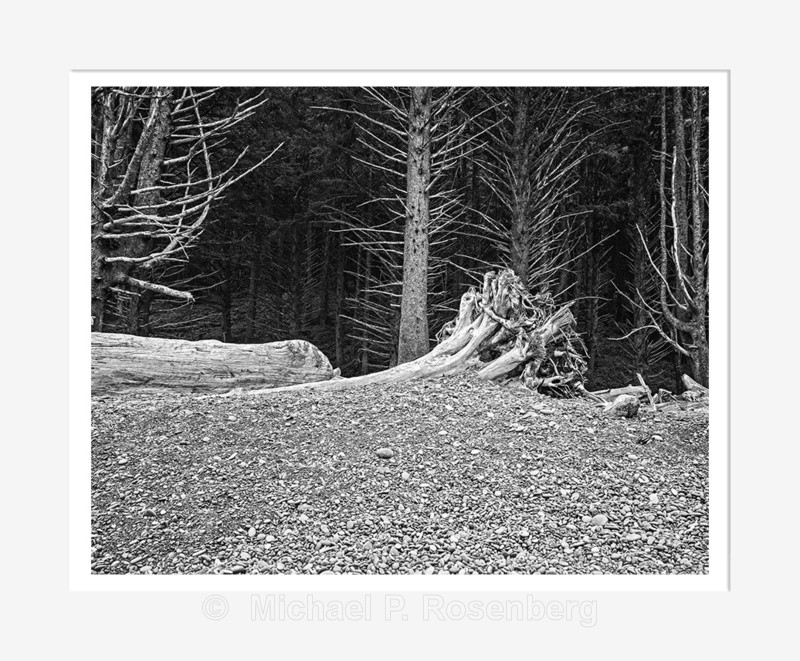 Rock Beach and Drift Logs, Rialto Beach, OR (2014/D00812) - CALIFORNIA, OREGON, AND WASHINGTON STATES