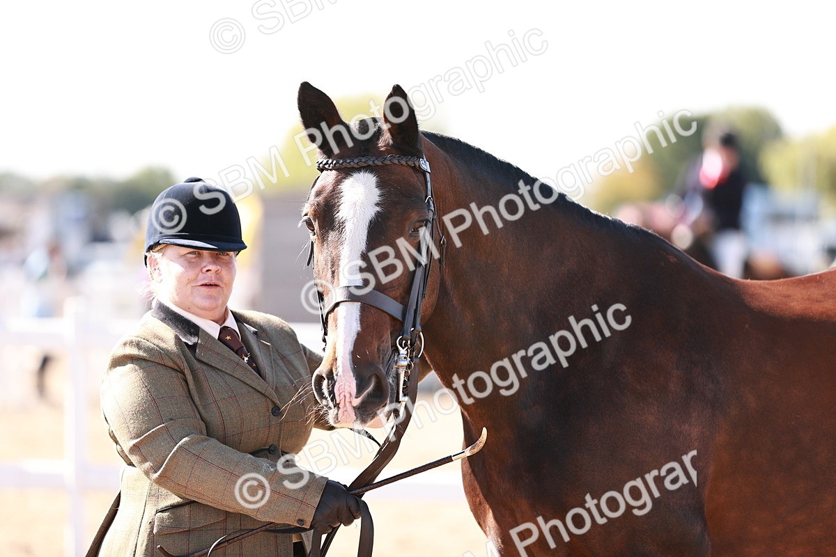 SBM_13236 - Class 405 - IH Show Cob