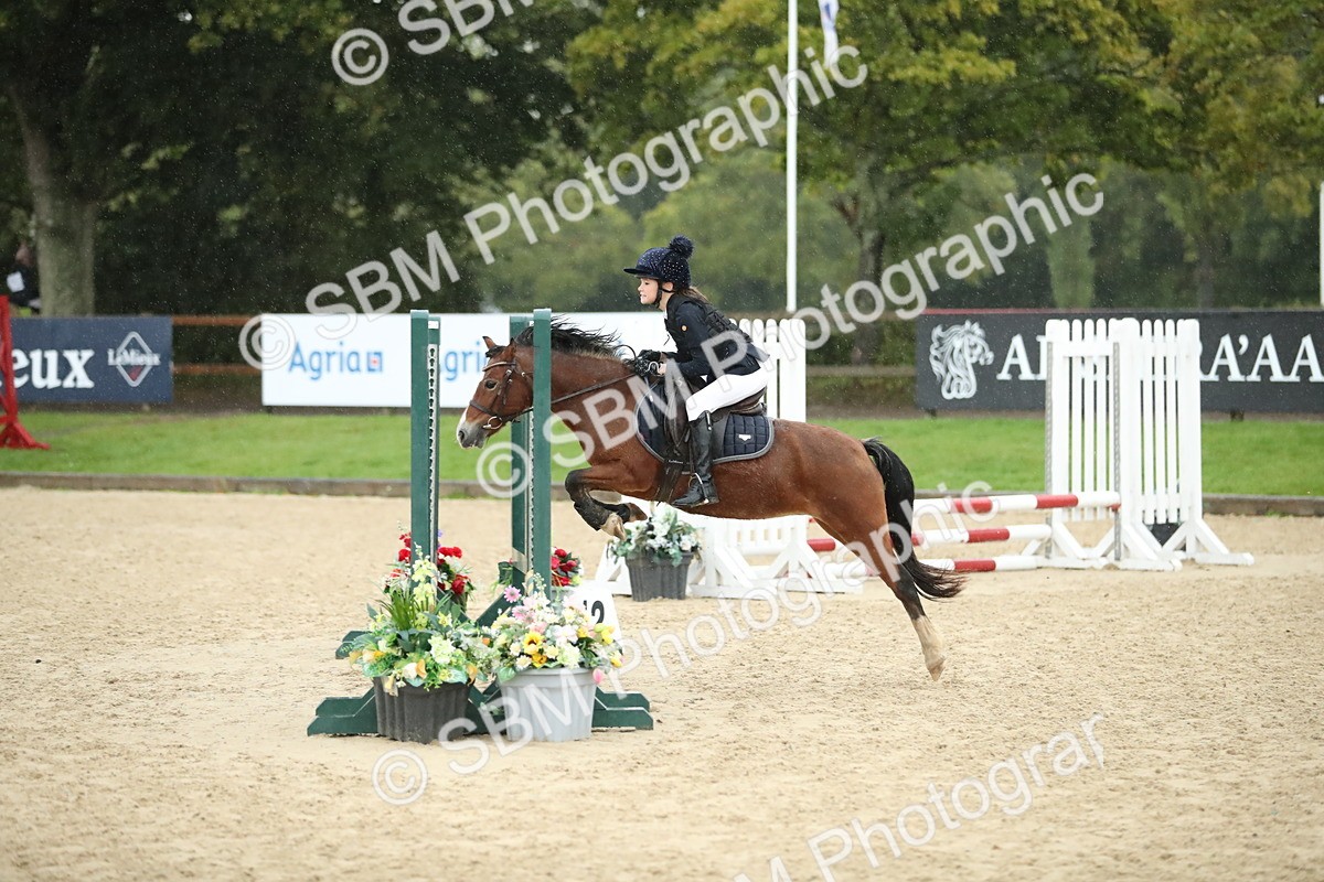 SBM_34336 - J60 Clear Round 50cm