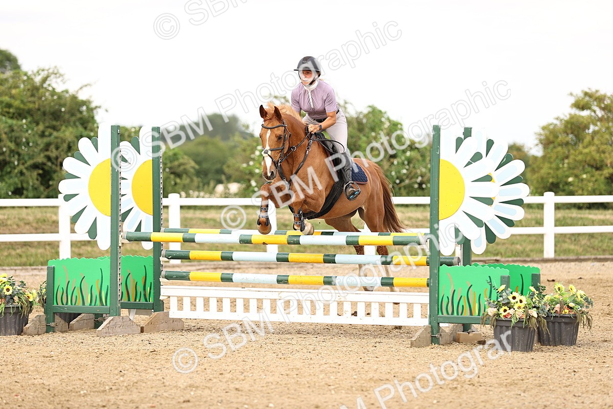 SBM_002637 - Class 19 - Nupafeed Supplements Senior Discovery - 1.00m
