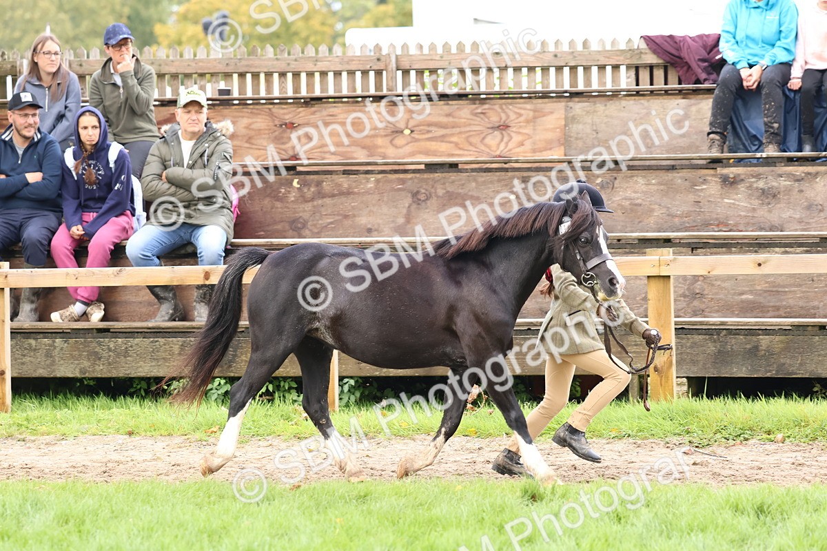 SBM_39466 - S24 - Young Veteran In Hand