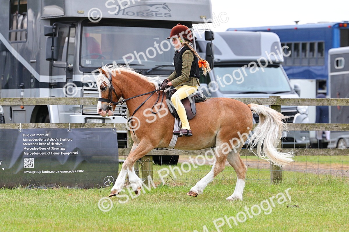 SBM_08744 - Class 42-43 - LIHS BSPS Heritage Working Sports Pony