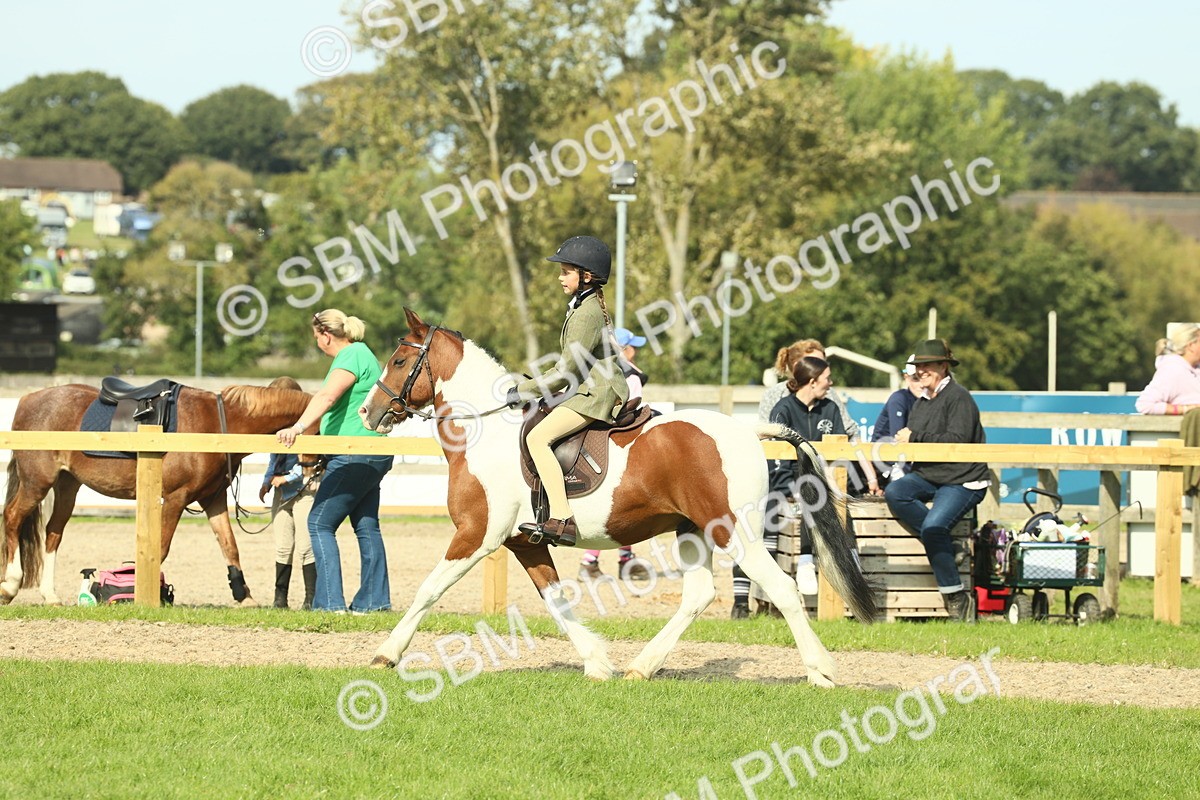 SBM_68919 - S58 - Mini Show Cob Ridden