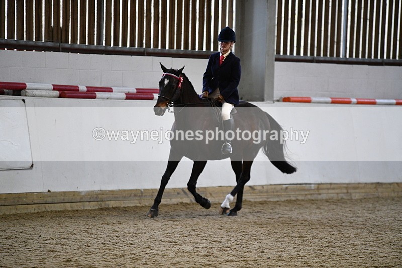 WJ5_7853 - Class 13 Ridden Part Breed