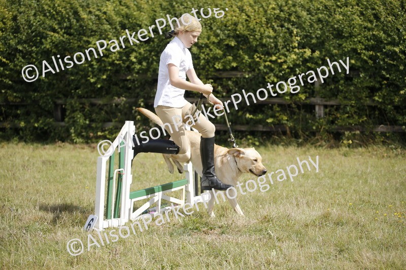 20250831-3850 - Dog Show