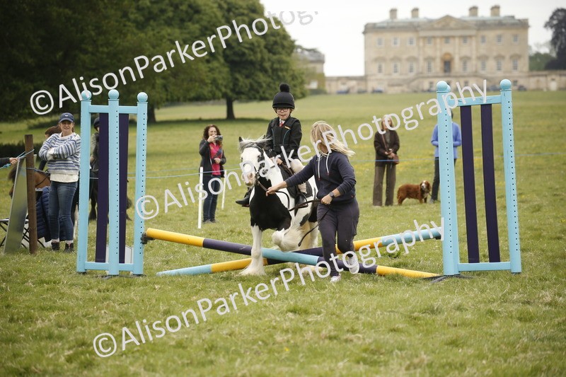 20250517-0216 - Class 1 - 30cm On Lead Rein