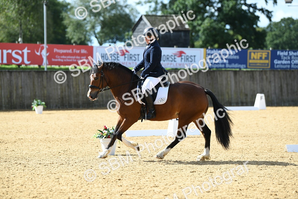 SBM_03168 - D7 Small Tour Championship Prelim 1