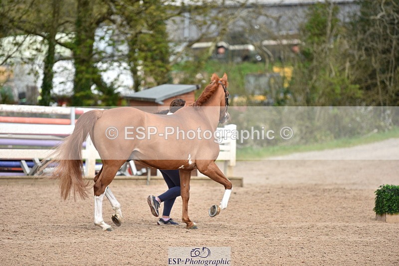 240417A-141824-00459 - 2pm to 3pm