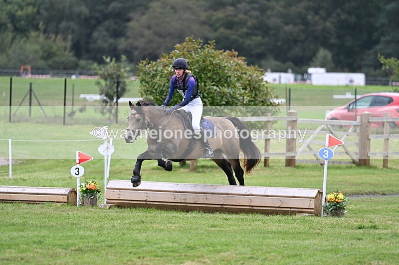 WJ7_8603 - 60cm Time 12:11 to 12:30
