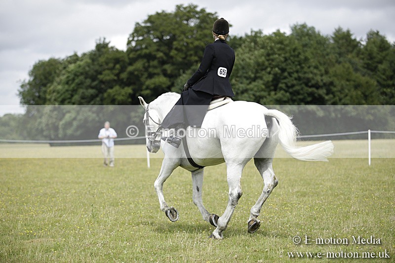 BVR160717-1963 - Side Saddle Classes 16/07/17