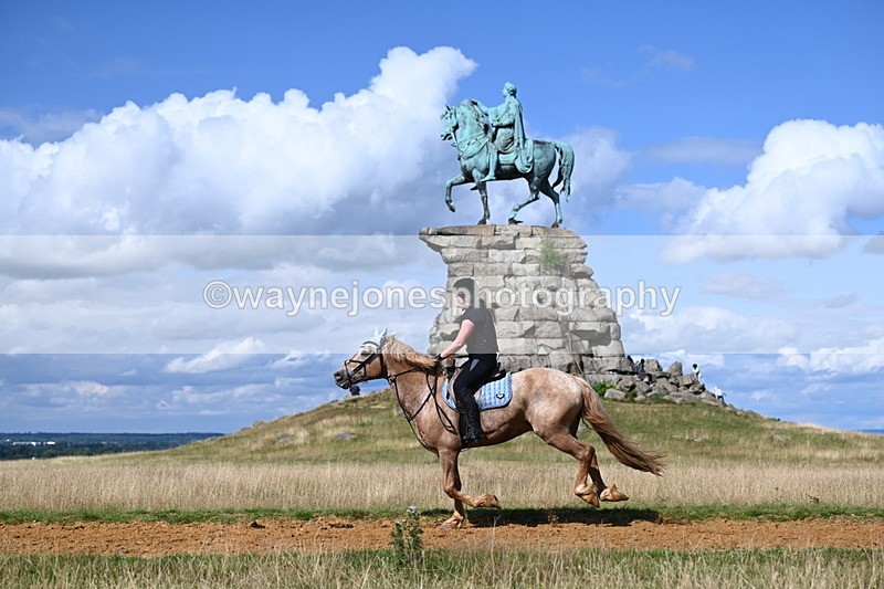 DSC_0151 - Time at Statue 15:58 to 16:05