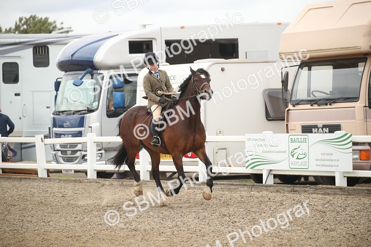 SBM_17968 - Class 508b - Working Veteran 70cm (20+)