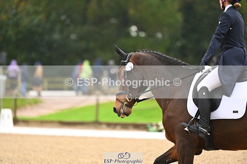 231021-121848-15113 - 347-SHANBEG.PANDORA-Alice.Gates-DR