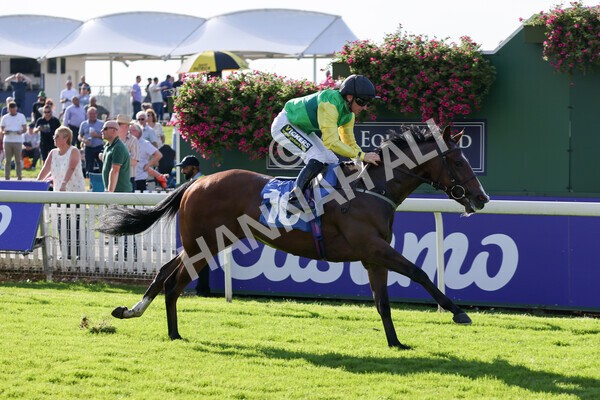 yr08102021r2-14 - Race 2 2.40pm Racing to School EBF Novice Stakes