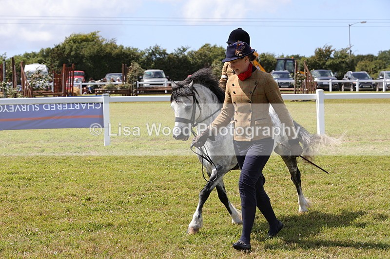 1X9A5149 - Class 36: NPS M&M Lead Rein