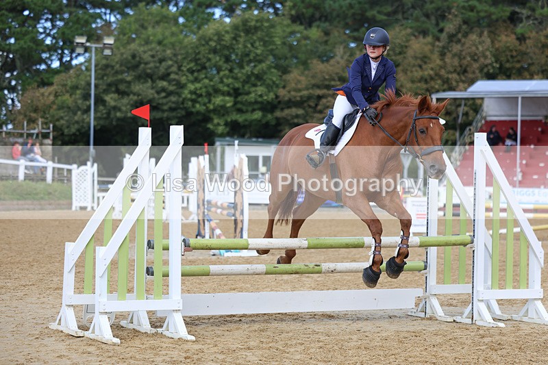 3E7A9064 - Class 9: Senior British Novice/90cm open