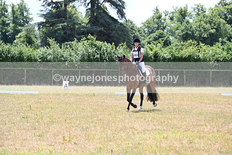 WJ6_4885 - Time 12:16 to 13:05