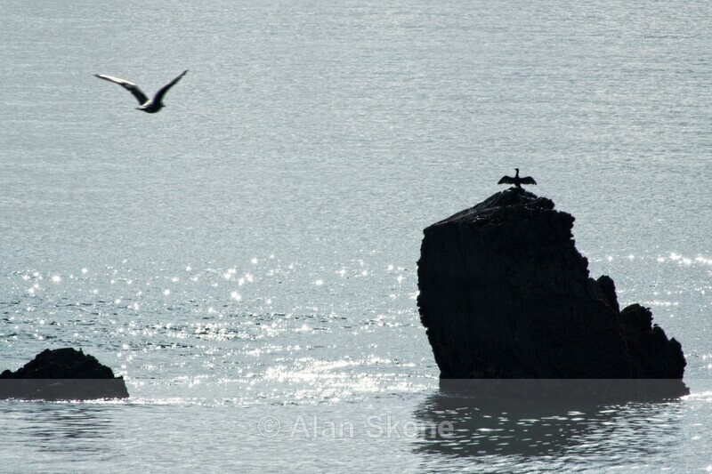 DSC06161 - Pembrokeshire Wales
