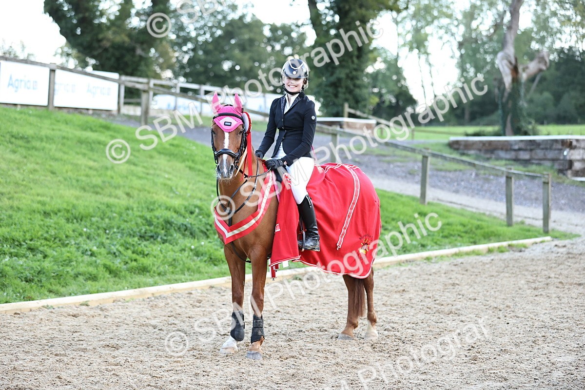 SBM_54393 - Supreme Championship 70cm 75cm