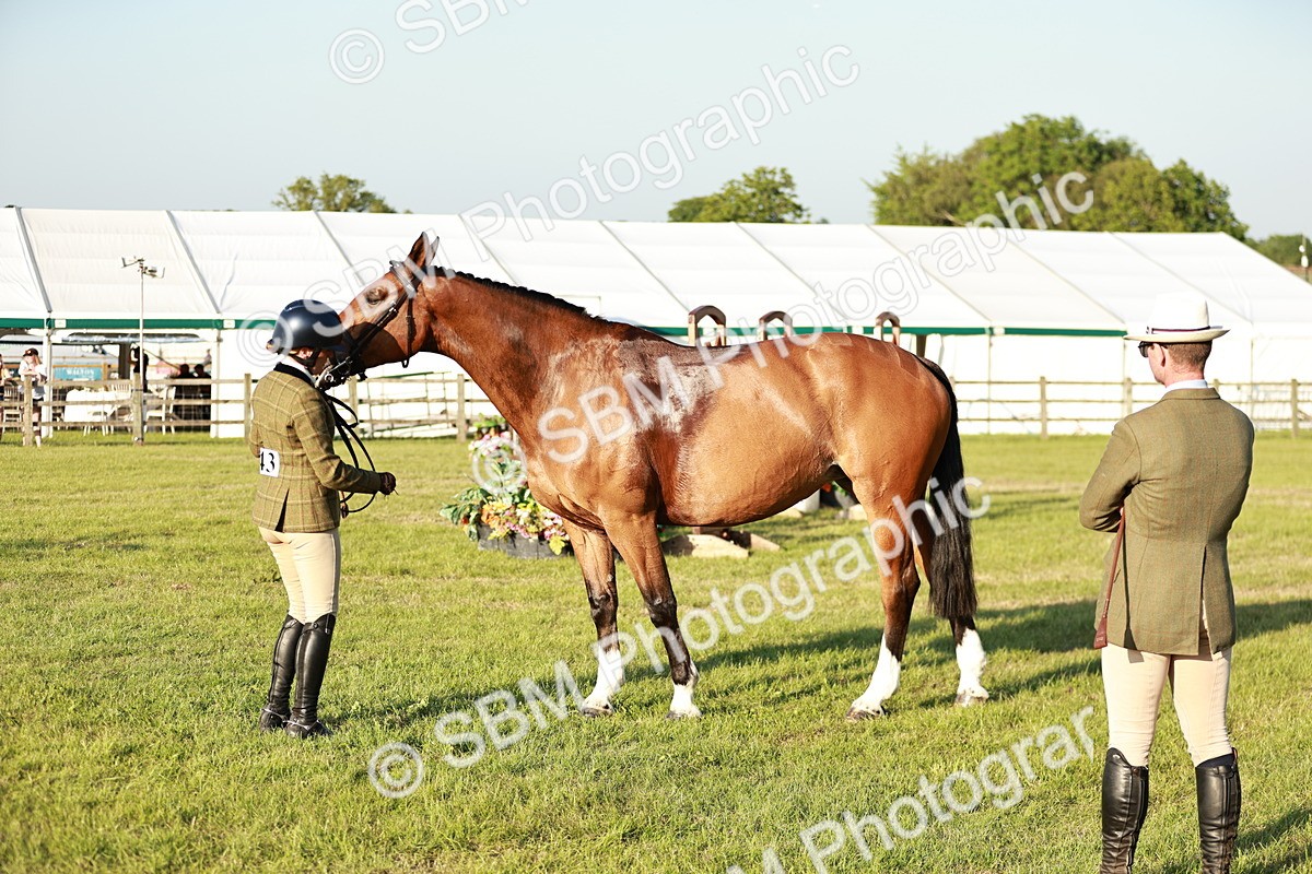 SBM_20528 - Class 117-119 - Sport Horse Working Hunter