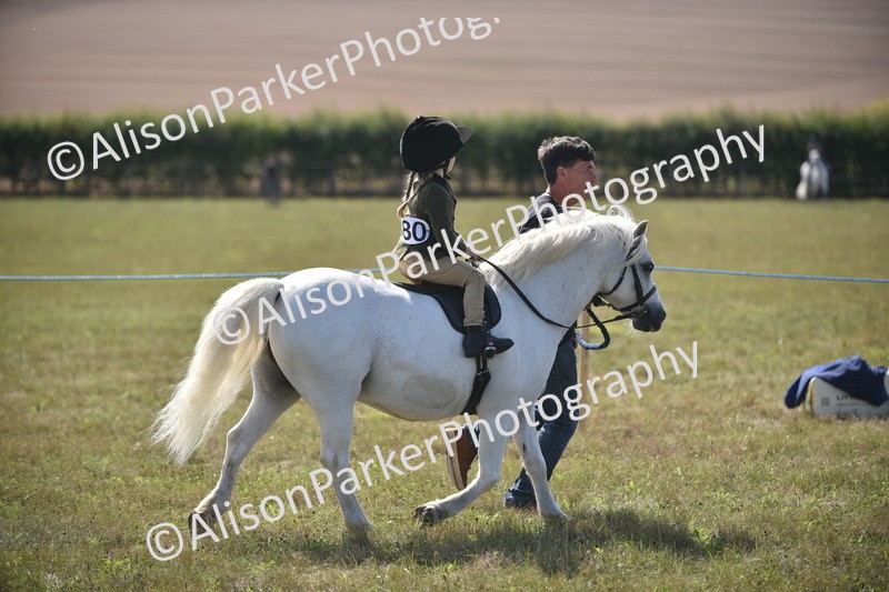 20260906-1783 - Class 11 - 13hh and Under