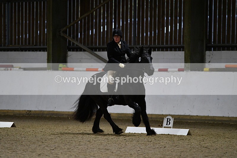 WJ5_8536 - Class 5 Novice Test 3