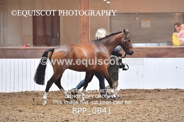 BPP_0841 - RING 1