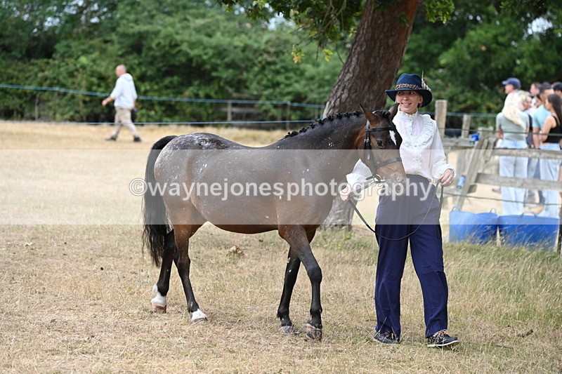 WJ6_7958 - Class 10 Coloured in Hand