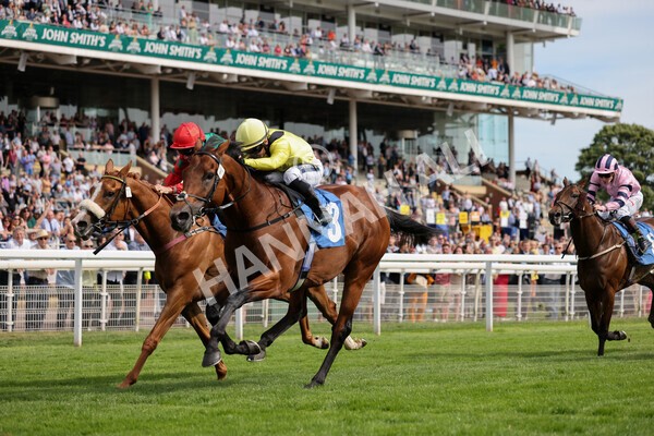 yr08072022r5-14 - Race 5 4.25pm Azets Stakes
