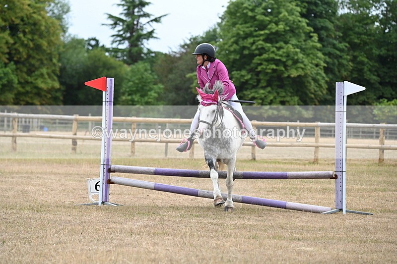 WJ6_0342 - Class 13 Novice Jumping 60cm