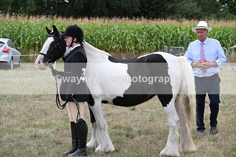 WJ6_5701 - Class 18 In-hand Coloured