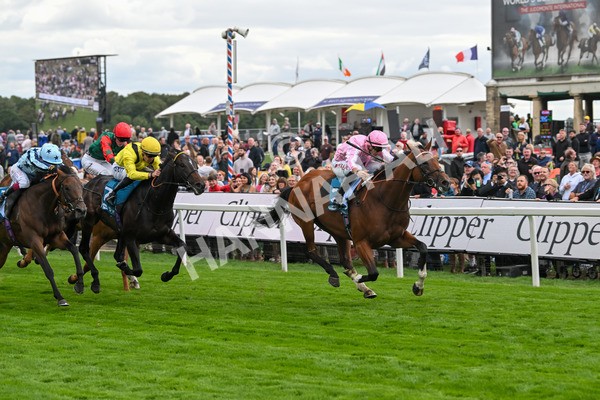 210825-Race 3-Bullet Point-4236 - Race 3 3.00pm Clipper Handicap