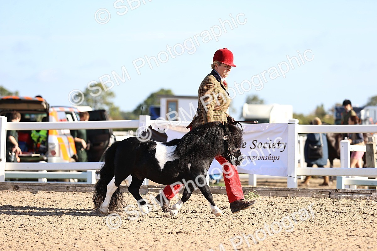 SBM_08408 - Class 402 - IH Veteran Pony