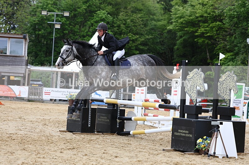 3E7A6202 - Class 4: Senior British Novice/90cm open
