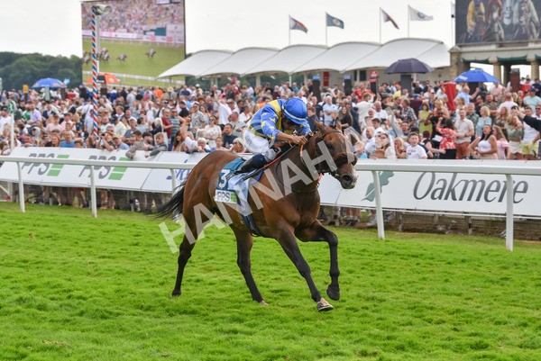 170623-Race 7-The Green Man-7507 - Race 7 5.25pm Clean Up With PPS Handicap
