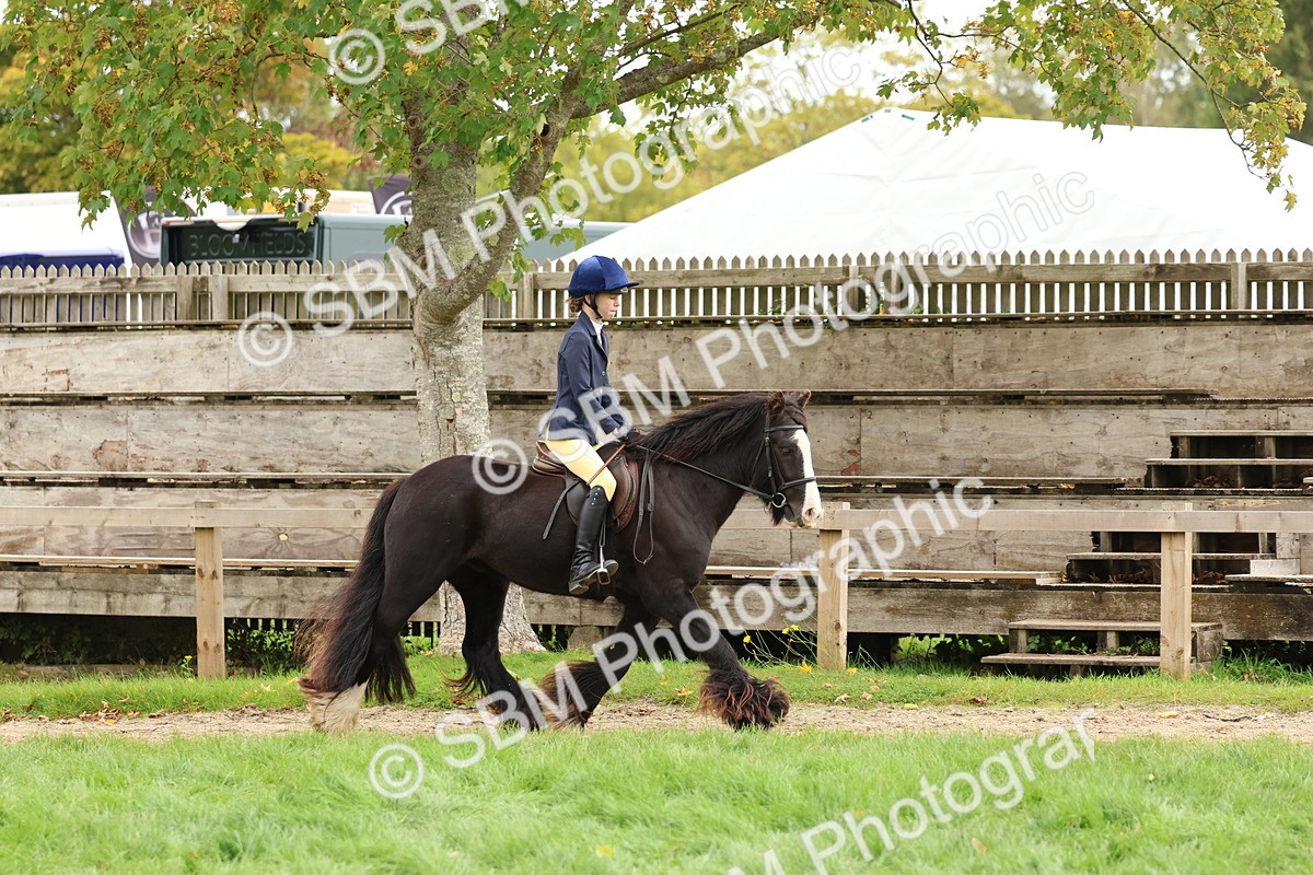 SBM_67525 - S60 - Mini Show Cob Ridden