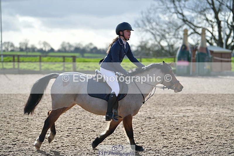 240211A-134940-03266 - Stepping Stones