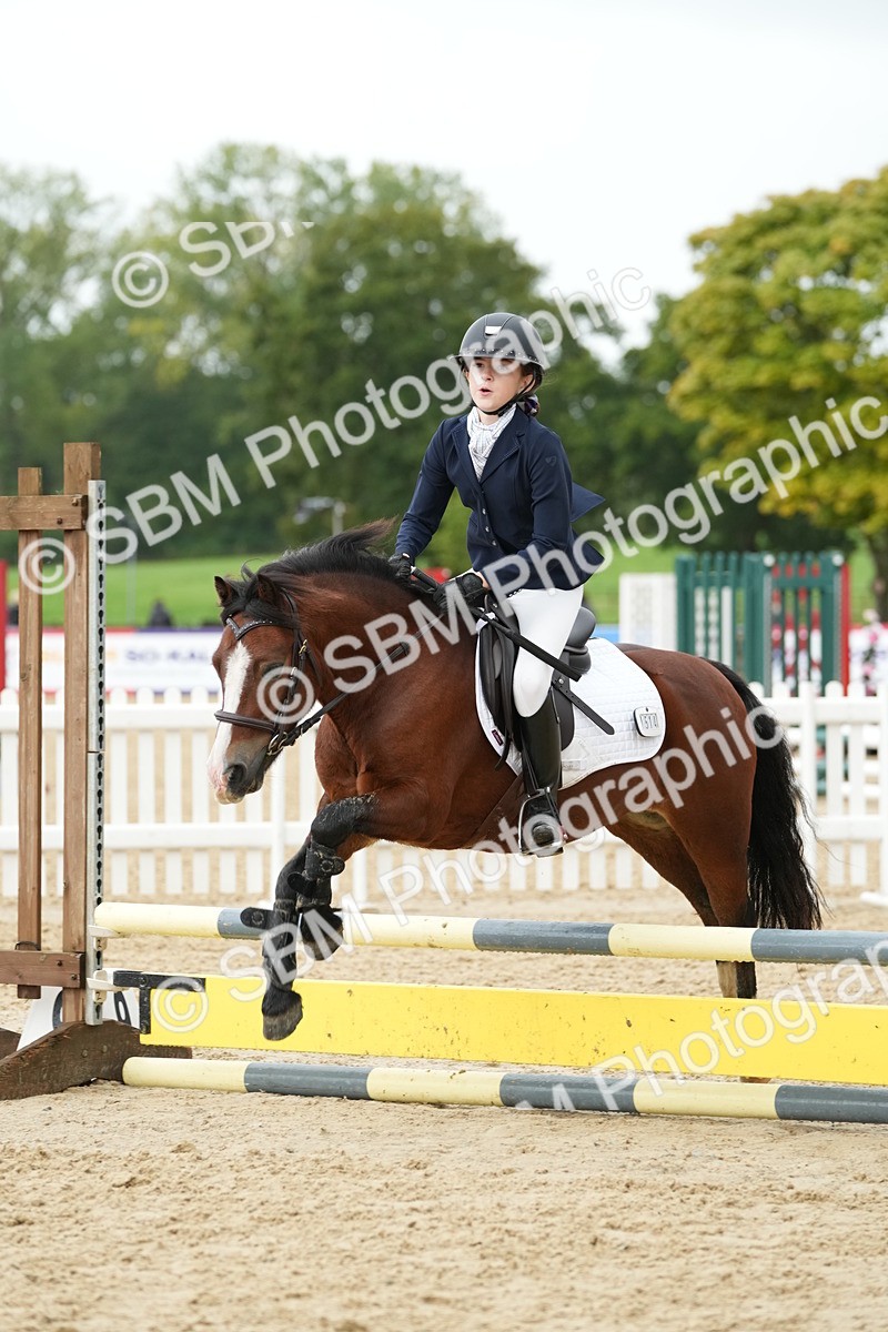 SBM_33447 - J5 - Junior Pony 50cm Championship