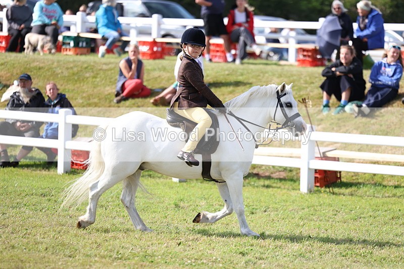 3E7A3825 - Supreme Championship