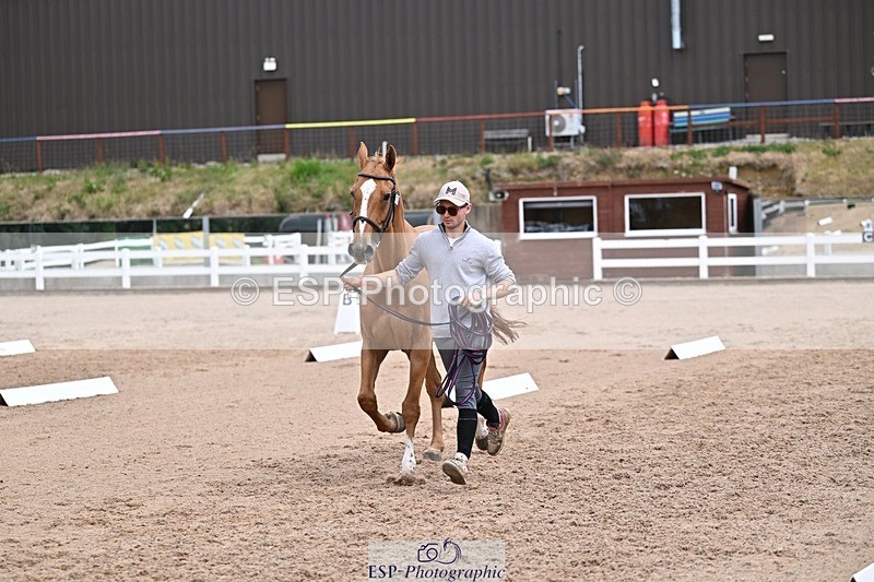 250716-133116-00558 - Trot Up 1.30 to 2.30