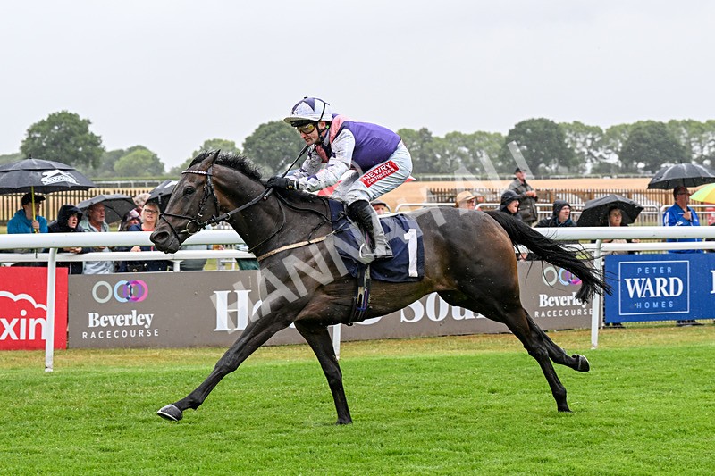 150725-Race 3-Time Tells All-0372 - Race 3